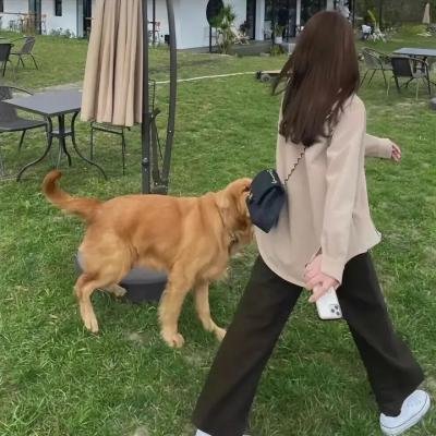 别担心，他不会走远的
